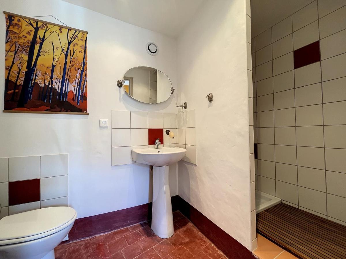 L'oiseau Bleu suite MERLE BLEU Roubia Extérieur photo