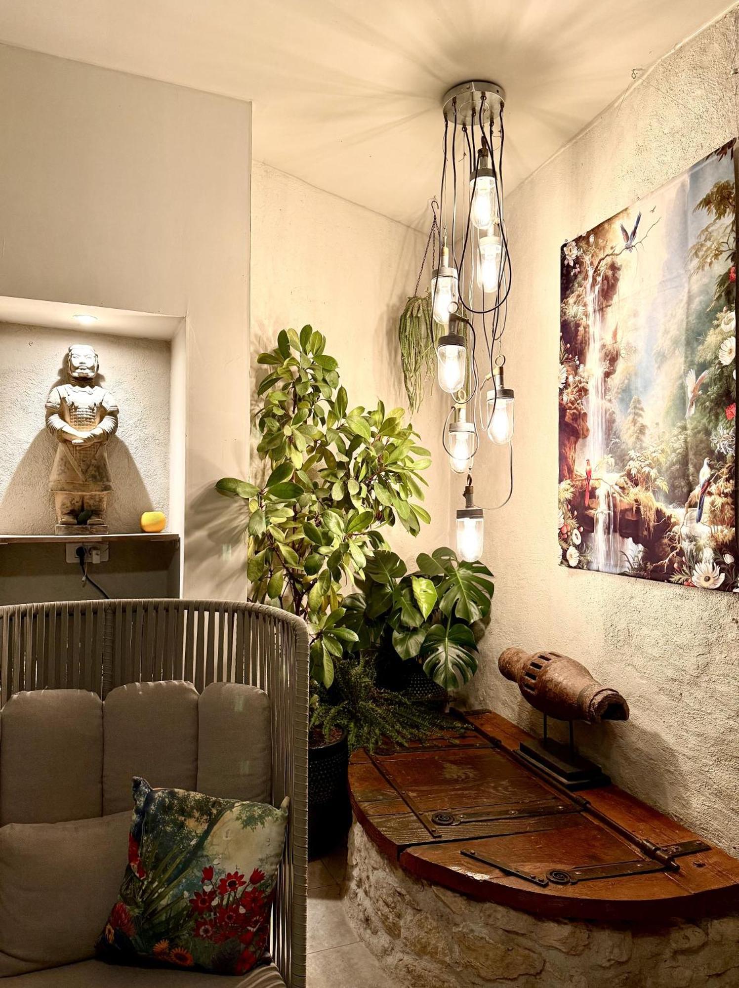 L'oiseau Bleu suite MERLE BLEU Roubia Extérieur photo